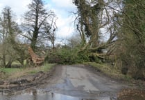 Surrey and Hampshire surveys the damage left behind by Storm Eunice