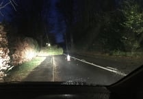 Tree blocks main road between Grayswood and Haslemere