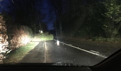 Tree blocks main road between Grayswood and Haslemere