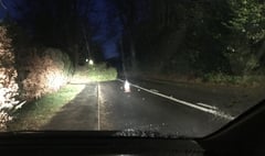 Tree blocks main road between Grayswood and Haslemere