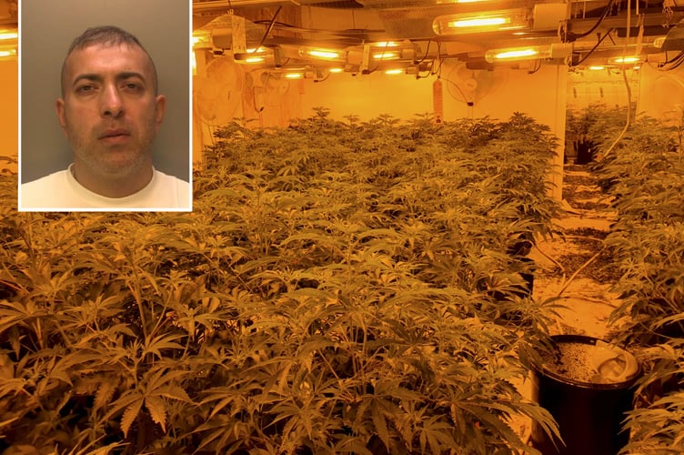 Cannabis factory in Aldershot. See SWNS story SWNNcannabis. A serious organised crime leader, who earned millions by running 12 cannabis factories across the South, has been jailed today. Mustafa Oustha, 39 of Harewood Drive, Northolt, appeared at Guildford Crown Court today (3 March), where he was sentenced to six years eight months in prison after pleading guilty to conspiracy to produce cannabis and concealing criminal property. Prior to the sentence, the Judge commented that it was âdifficult to envisage a more serious case of production of cannabis.â The sentence follows a large-scale investigation into the rental of 12 industrial units across the South East of England which had been turned into cannabis factories between 2016 and 2021