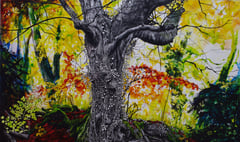 Exhibition in Alresford on the art of trees