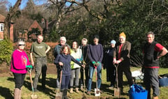 Apple trees planted on Haslemere’s Lion Green