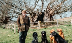 Watch gundogs compete for charity at Cowdray on April 30