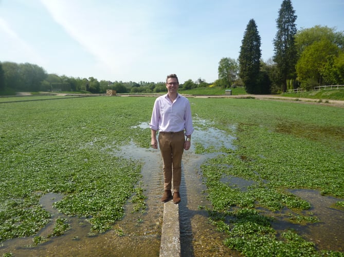 Tom Amery, managing director of The Watercress Company, surveys the watercress beds at Manor Farm in Old Alresford on May 6th 2022.