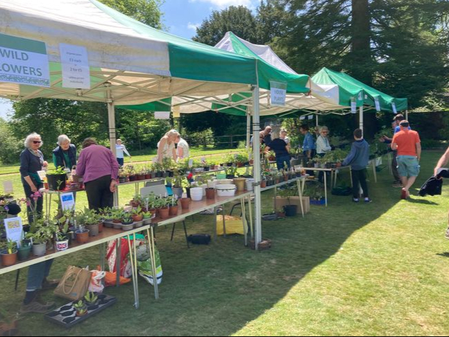 The sun shone for Haslemere Educational Museum’s annual plant sale – which was held in the museum’s garden for the second year running