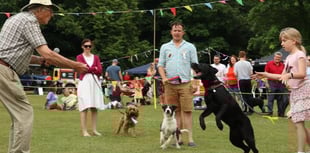 Tail-wagging fun at Haslemere's RSPCA Dog Show on Lion Green