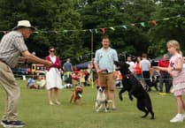 Tail-wagging fun at Haslemere's RSPCA Dog Show on Lion Green