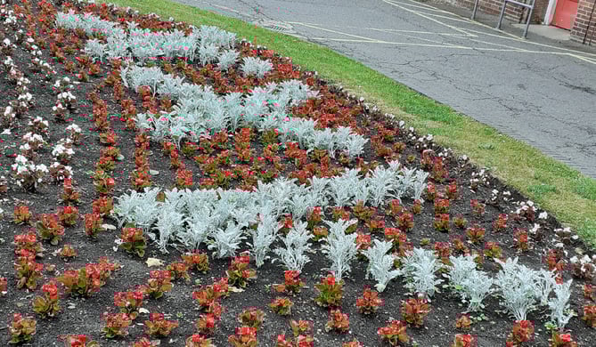 Liphook in Bloom 25th anniversary flower bed, 2022.