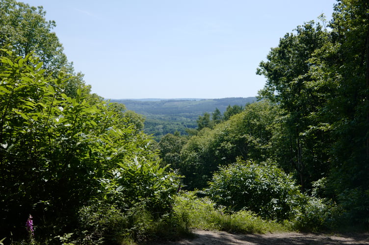 Haslemere Walking Festival starts with a walk to Shulbrede Priory