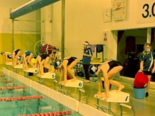 Haslemere Swimming Club has launched a racing blocks appeal