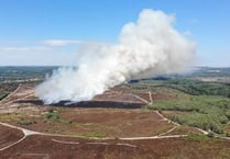 Queen guitarist Brian May puts heat on MoD after Hankley Common fires