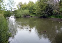 Survey work continuing at Kings Pond in Alton