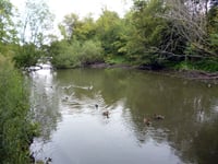 Big change to pond and river proposal for Kings Pond in Alton
