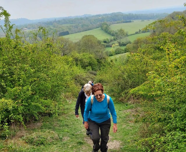 A two-day ramble on Hangers Way – with Petersfield Ramblers
