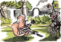 Art exhibition at Gilbert White’s House in Selborne