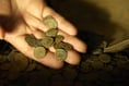 Treasure found in Surrey  four times last year