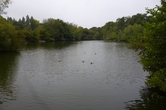 Save Kings Pond campaign founder backs dredging option