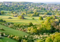 Dementia-friendly walk and scavenger hunt in Farnham Park next week