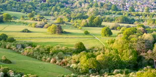 Views wanted on anti-social behaviour in Waverley's parks