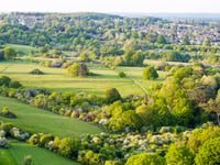 Dementia-friendly walk and scavenger hunt in Farnham Park next week