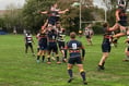 Rare defeat for Farnham Rugby Club