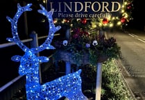 Illuminated stag welcomes Christmas visitors to Lindford 