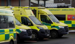 One in 20 ambulance patients waited more than an hour at the Royal Surrey County Hospital last week