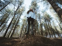New Forest National Park named UK's most family-friendly hiking spot