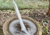 Rare natural phenomenon in Hindhead after freezing temperatures