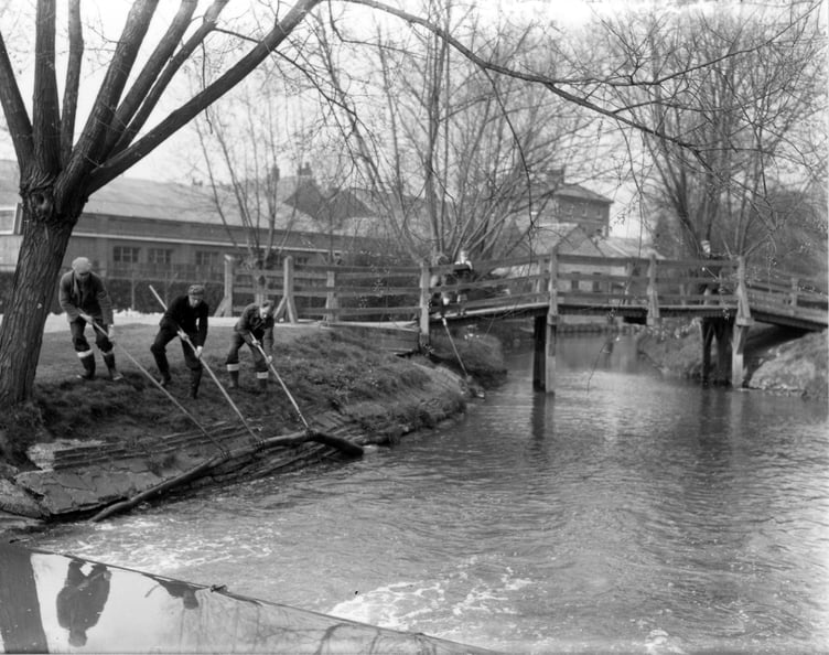 Workmen from the Thames Water Board clear branches from the River Wey as it passes through Gostrey Meadow, Farnham, in the spring of 1953