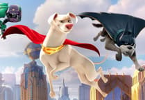 Superman and super dog fight crime in film showing in Bordon