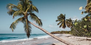 Peeps into the Past: Castaway Christmas for a local adventurer