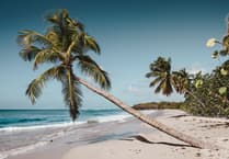 Peeps into the Past: Castaway Christmas for Tilford's own Robinson Crusoe