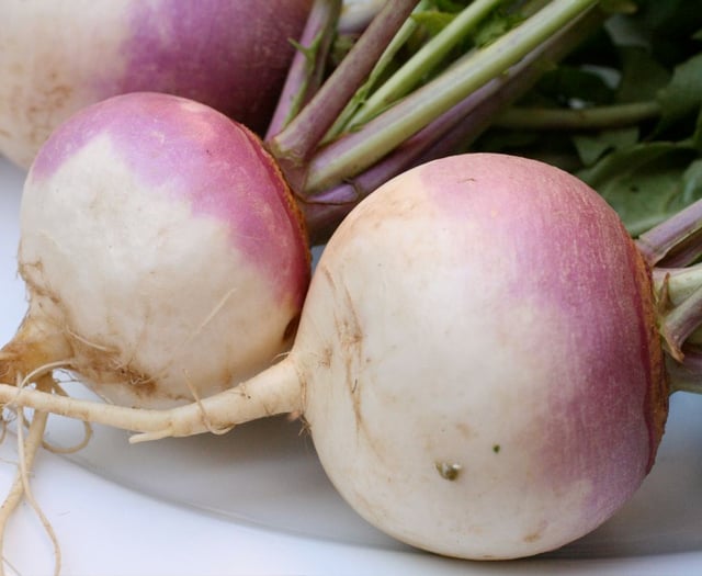 Opinion: Was Baldrick right all along, should we all just eat turnips?