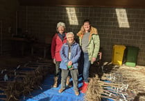 A hundred fruit trees planted in Alton gardens 