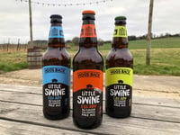
Hogs Back Brewery launches ginger-flavoured beer Little Ginger Swine