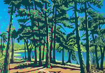 Farnham and Haslemere AppArt exhibition