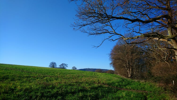 Open countryside near Petersfield