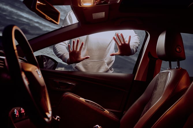 Numerous vehicles, garages and homes across the Liphook area were targeted in the early hours of January 31