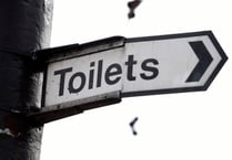 Toilet map shows fewer than two dozen accessible toilets in Waverley