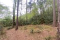 Land and development sites for sale in and around Farnham
