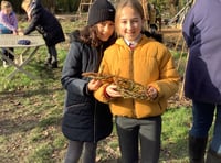 Potters Gate pupils from Farnham weave willow to feed the birds