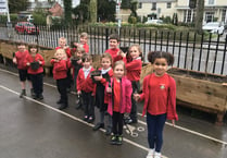 Planting a hedge will clean the air at Alton Infant School