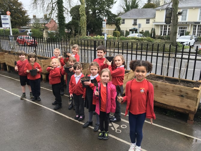 Alton Infant School hedge planting, March 2023.