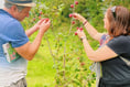 Spring is upon us and Lion Green's community orchard ready to blossom