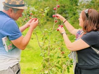 Spring is upon us and Lion Green's community orchard ready to blossom