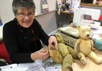 Poorly teddy one of many fixes at Fernhurst Hub's first Repair Café