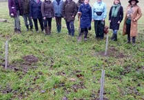 Elizabeth Copse planted at Chawton House to remember Queen