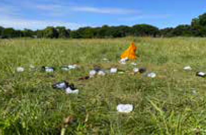 Litter.